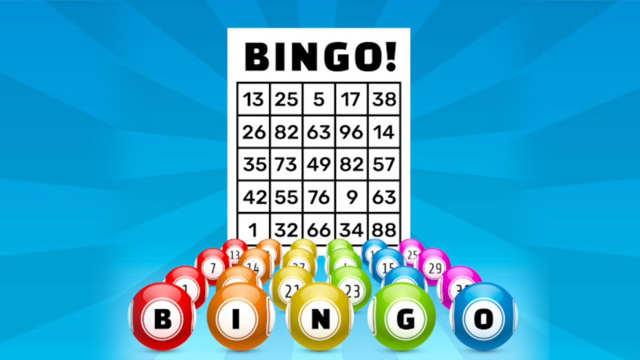 K9Win Amazing Bingo Game Variations