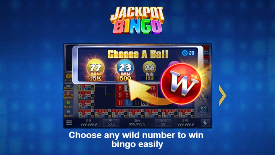 What is Jackpot Bingo K9Win